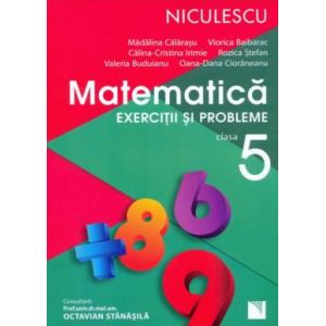 MATEMATICA CL 5 STEFAN