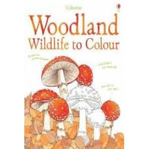 WOODLANDS TO COLOUR