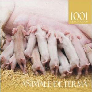 1001 ANIMALE DE FERMA .