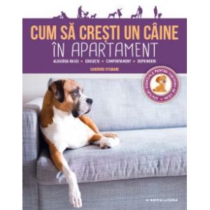 CUM SA CRESTI UN CAINE DE APARTAMENT