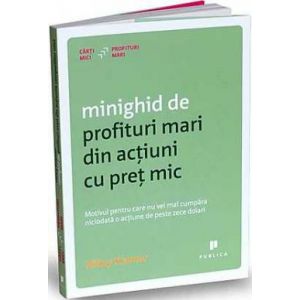 MINIGHID DE PROFITURI MARI DIN ACTIUNI CU PRET MIC