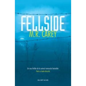 FELLSIDE