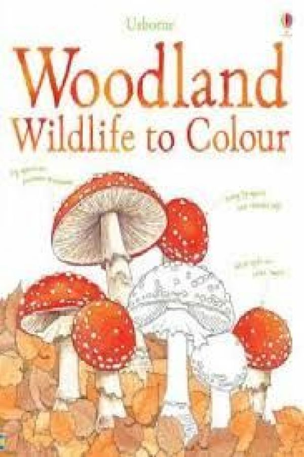  WOODLANDS TO COLOUR