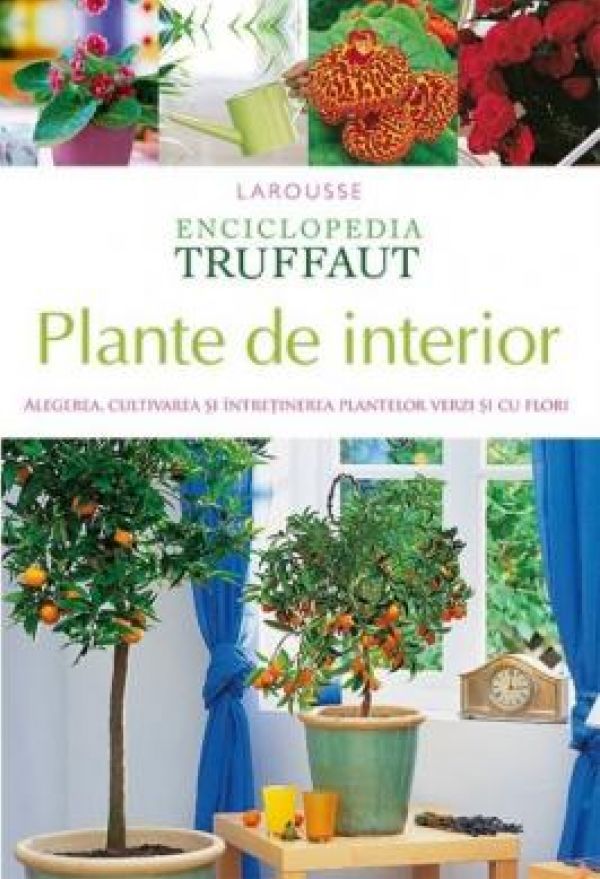  PLANTE DE INTERIOR