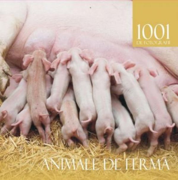  1001 ANIMALE DE FERMA .