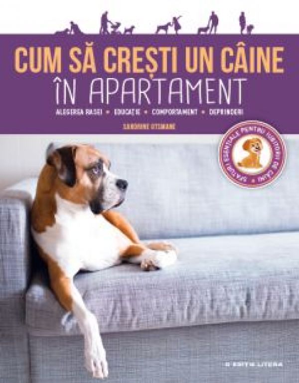  CUM SA CRESTI UN CAINE DE APARTAMENT