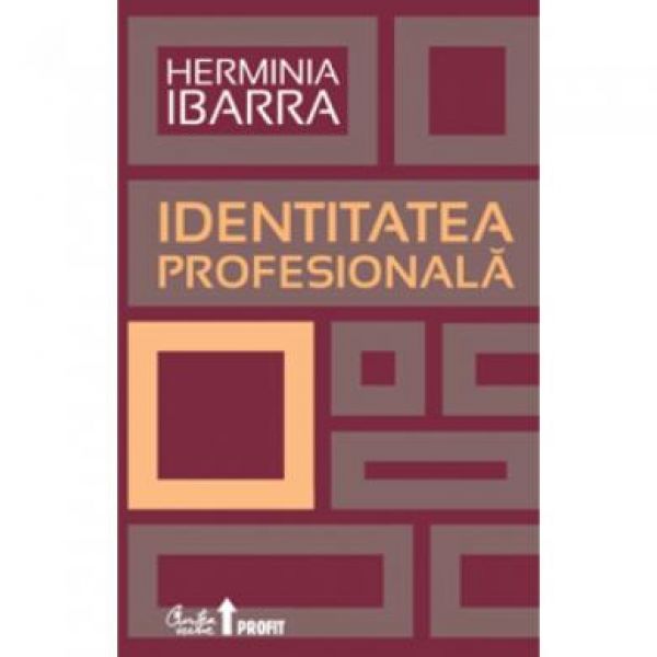  IDENTITATEA PROFESIONALA. STRATEGII NECONVENTIONALE PENRTU REDEFINIREA CARIEREI