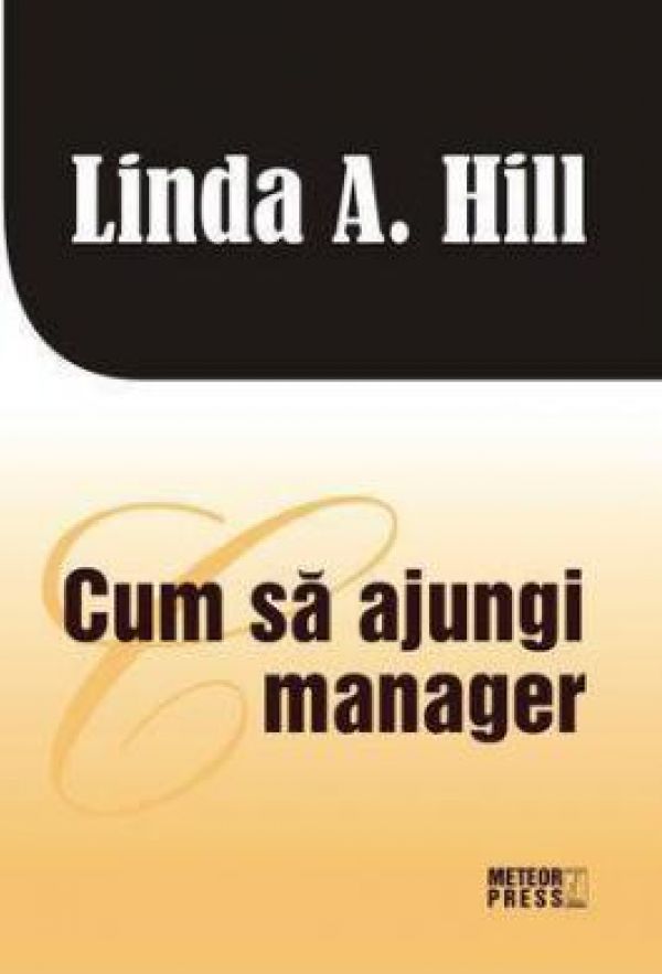  CUM SA AJUNGI MANAGER