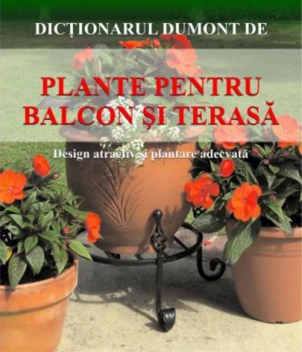  PLANTE PENTRU BALCON SI TERASA